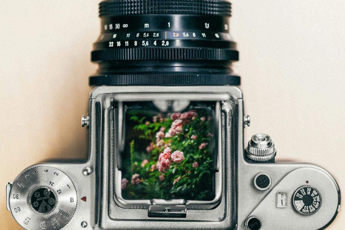 Digital camera with photo visible on small screen | Photo by Benjamin Balázs on Unsplash